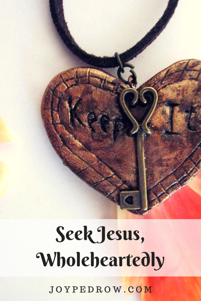 Seek Jesus, Wholeheartedly