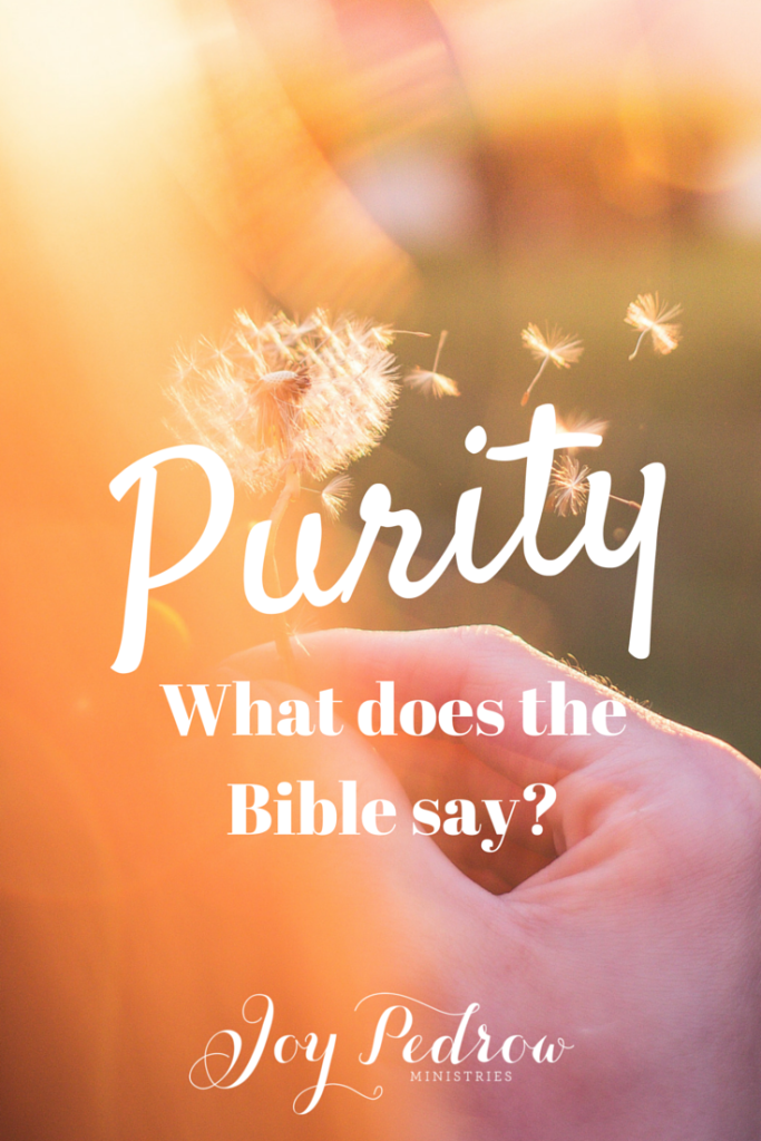 What does the Bible say about Purity?