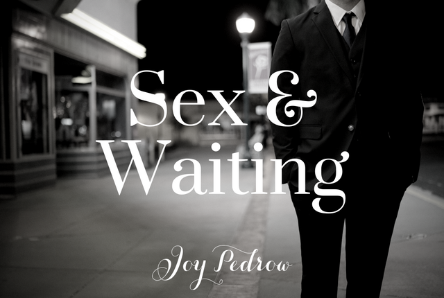 Saving Sex For Marriage From A Guys Perspective – Joy Skarka